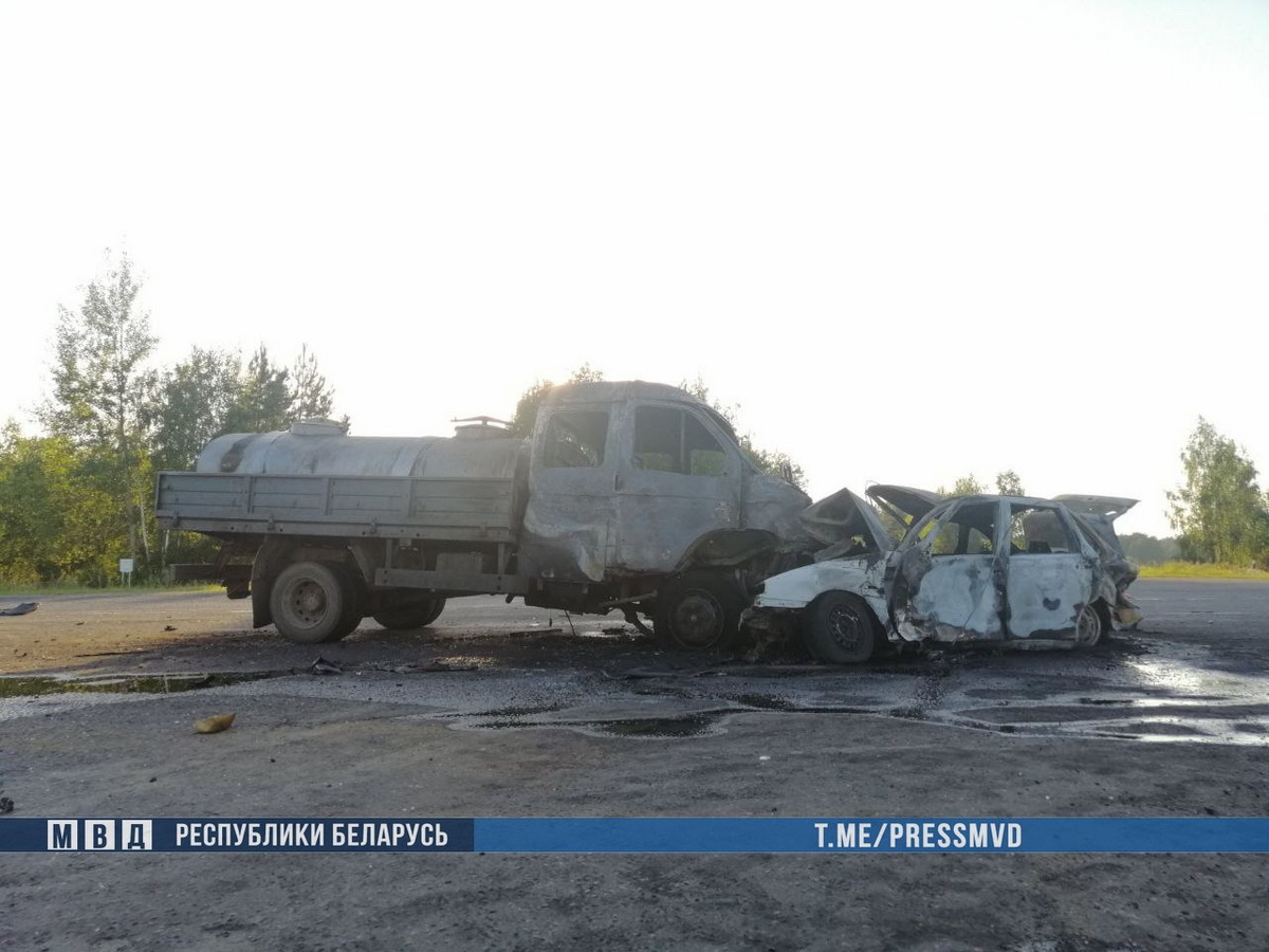 Два человека погибли при столкновении с легковушкой и грузовиком в Светлогорском районе