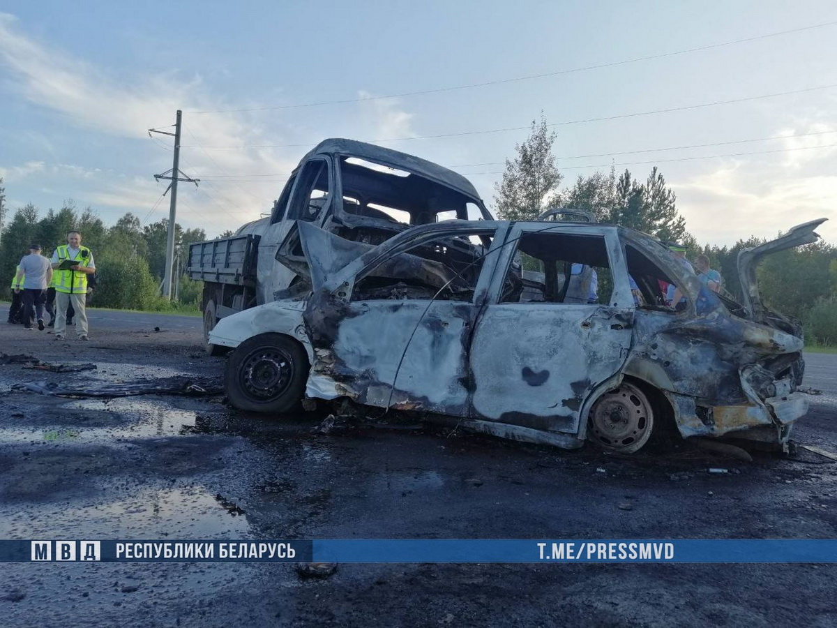 Два человека погибли при столкновении с легковушкой и грузовиком в Светлогорском районе