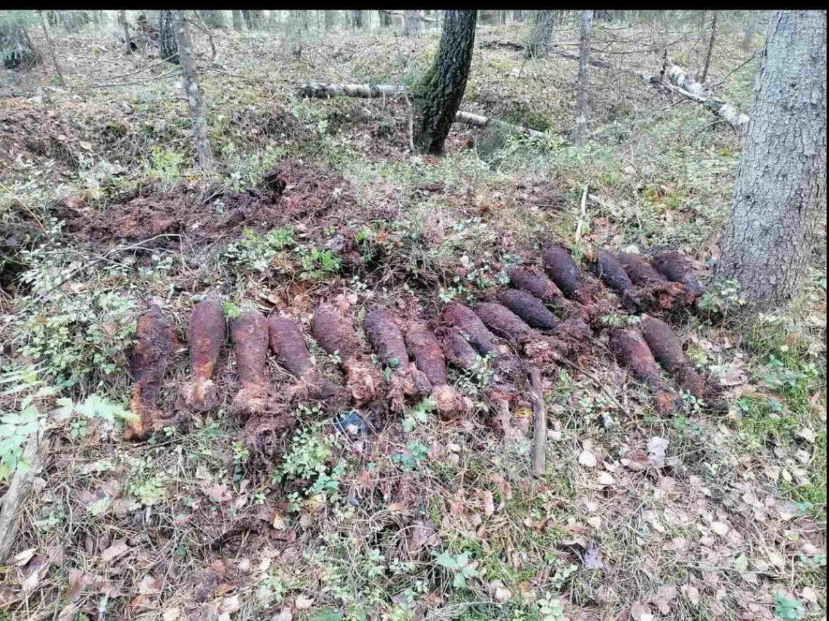 Более тысячи боеприпасов 1936 года найдено в Городокском районе