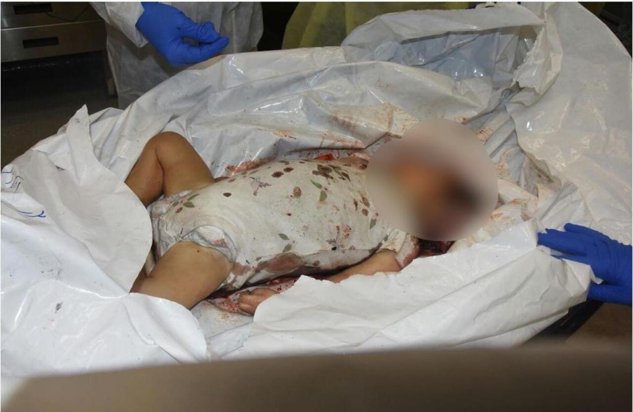 Нетаньягу опубликовал фото убитых и сожженных израильских младенцев