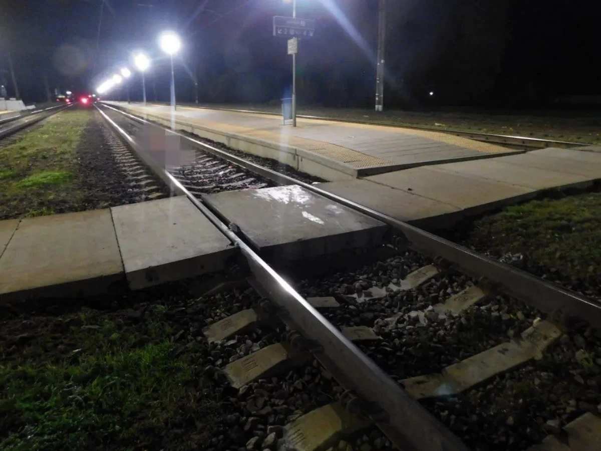 Мужчина погиб под колесами поезда из-за застрявшего костыля