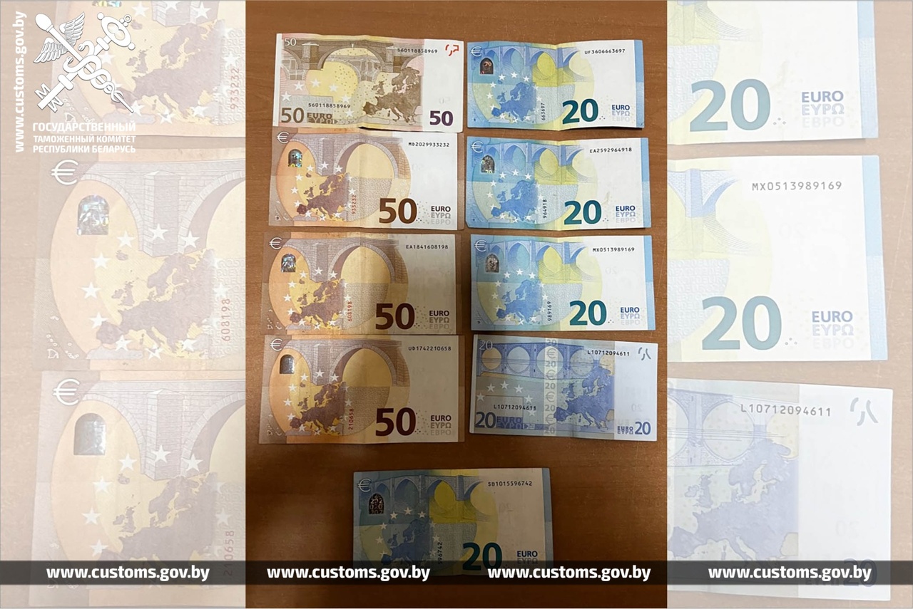 Украинка пыталась тайком ввезти в Беларусь 42 тысячи долларов