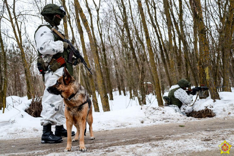 Силы спецопераций остаются на усилении границы Беларуси с Украиной - фото