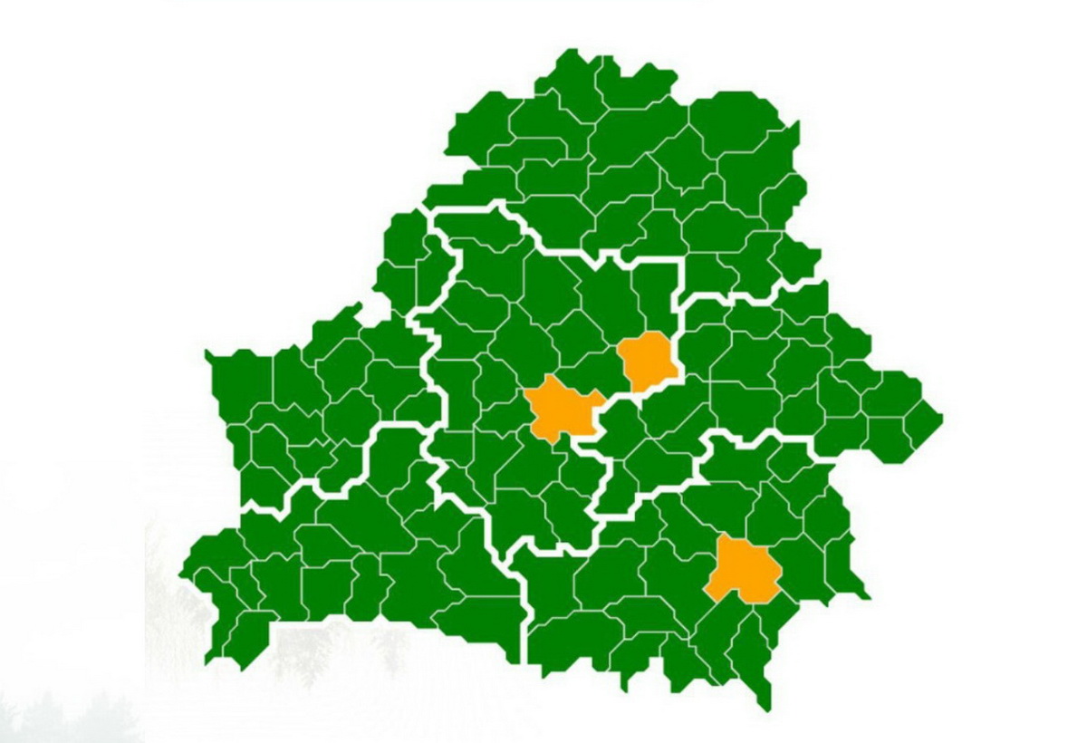 Ограничения на посещение лесов ввели в трех районах Беларуси