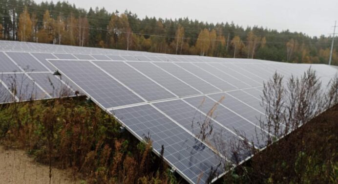 Крупнейший инвестпроект: государство отобрало солнечную электростанцию и продает на аукционе
