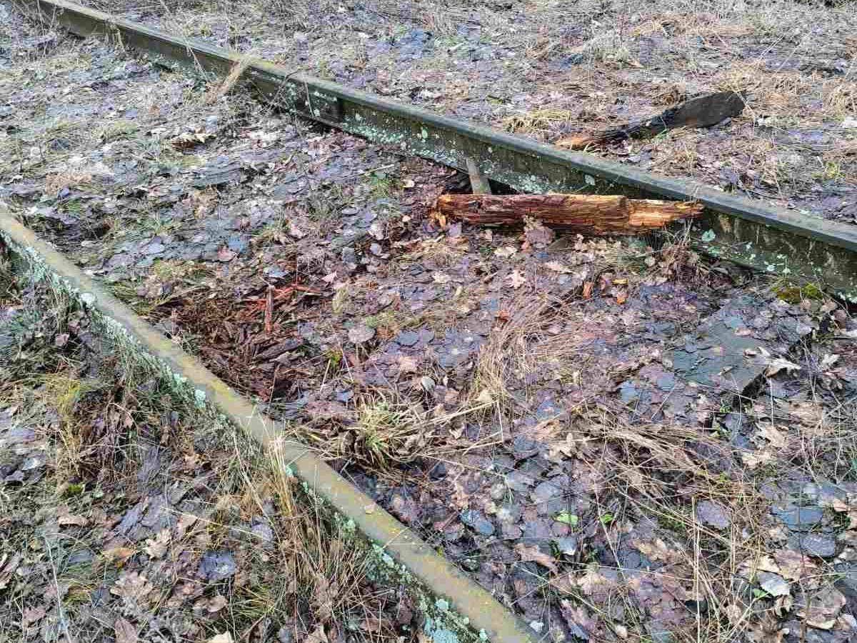Житель Пинска разбирал железнодорожные пути на металлолом