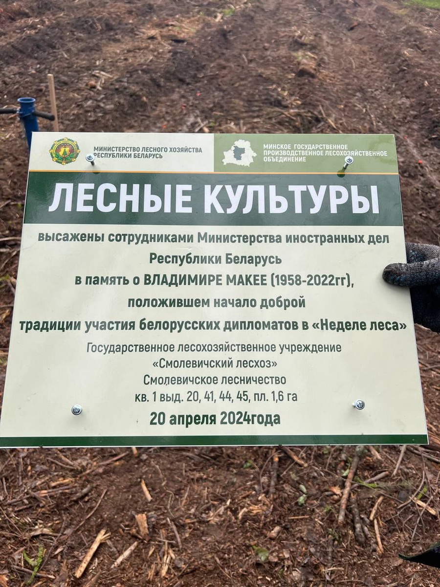 В Смолевичском районе в память о Владимире Макее посадили лес