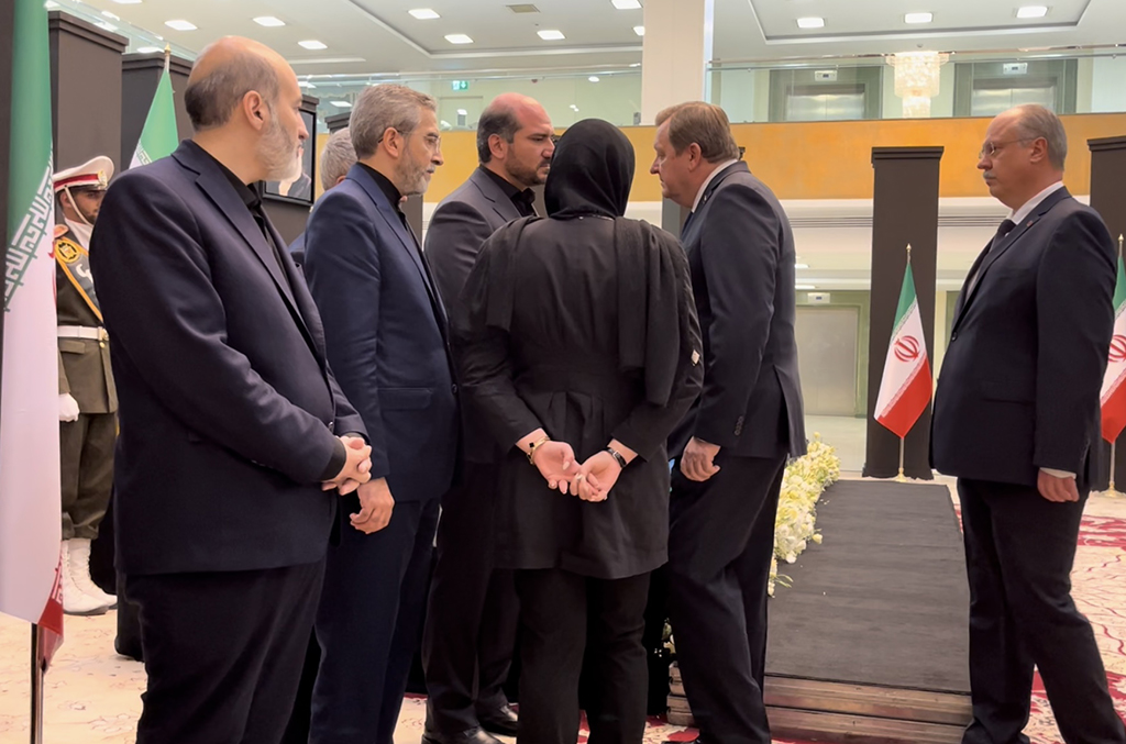 Алейник принял участие в прощании с погибшим президентом Ирана