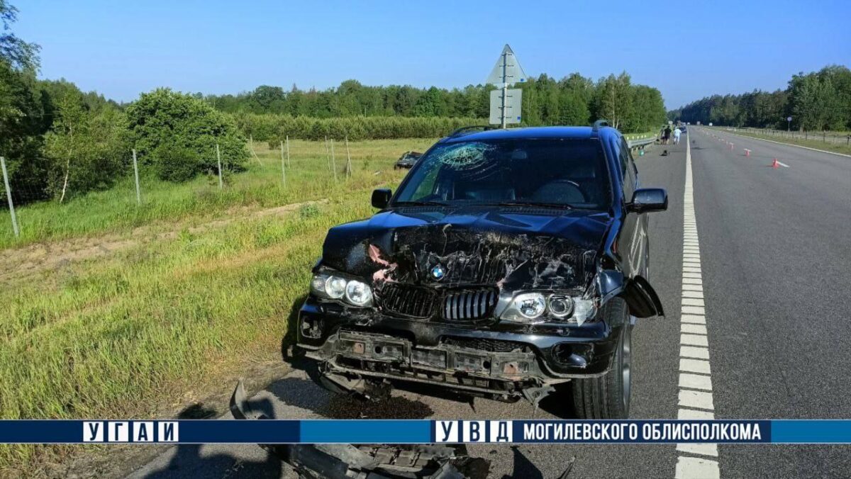 BMW отправил в кювет Audi на трассе Минск-Гомель. Водитель Audi погиб —  REFORM.news