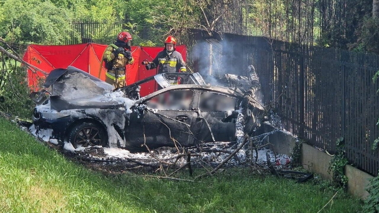 BMW врезался в дерево и вспыхнул в Варшаве. Среди погибших может быть  беларус — REFORM.news (ранее REFORM.by)