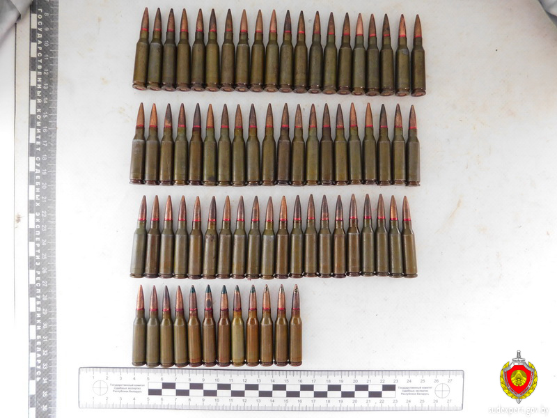 В Ляховичском районе в водоеме дети нашли современные боеприпасы