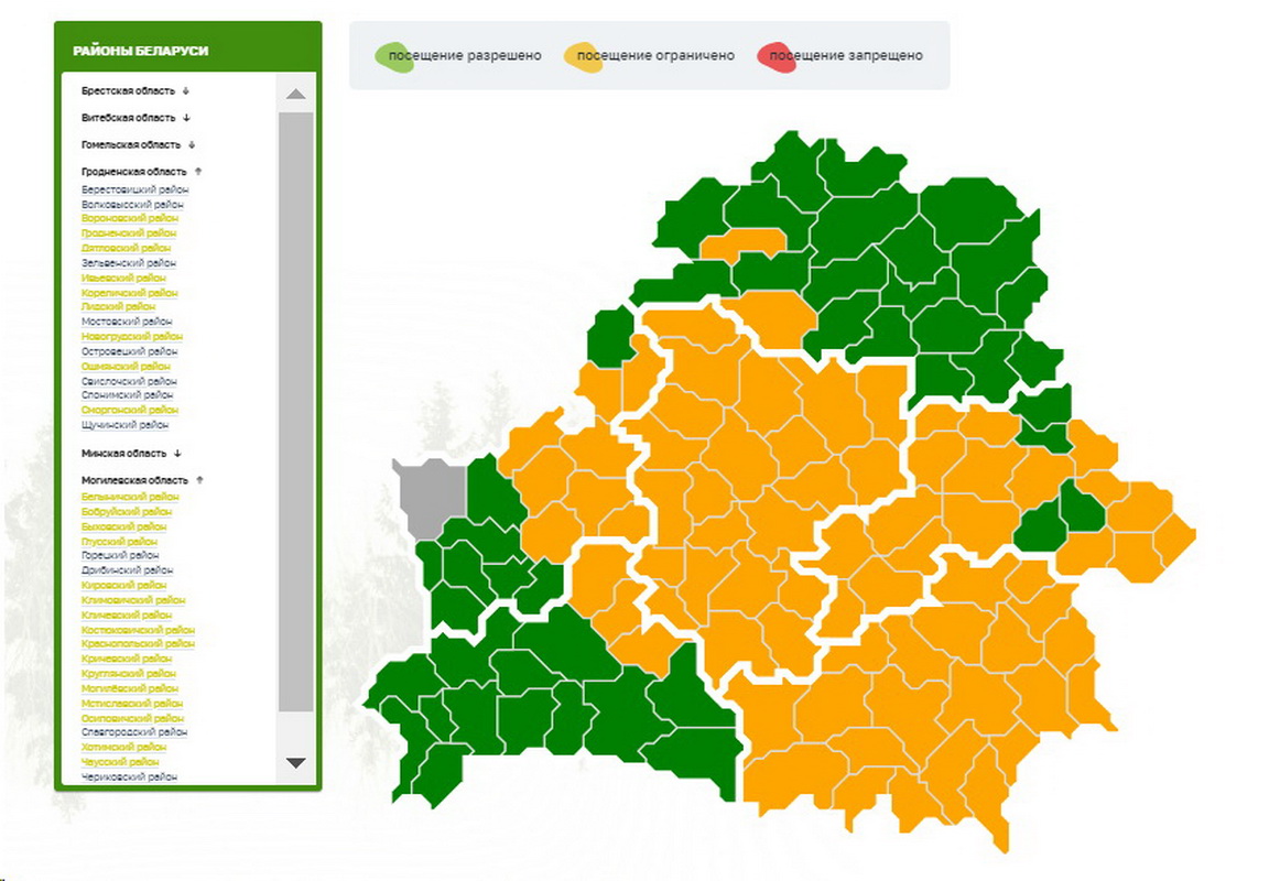 Минсельхоз ограничил посещение лесов почти на всей территории еще одной  области — REFORM.news (ранее REFORM.by)