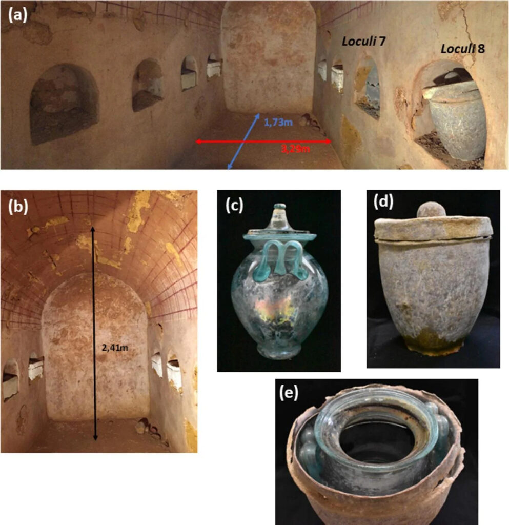 Самое древнее жидкое вино обнаружено в римской гробнице в Испании