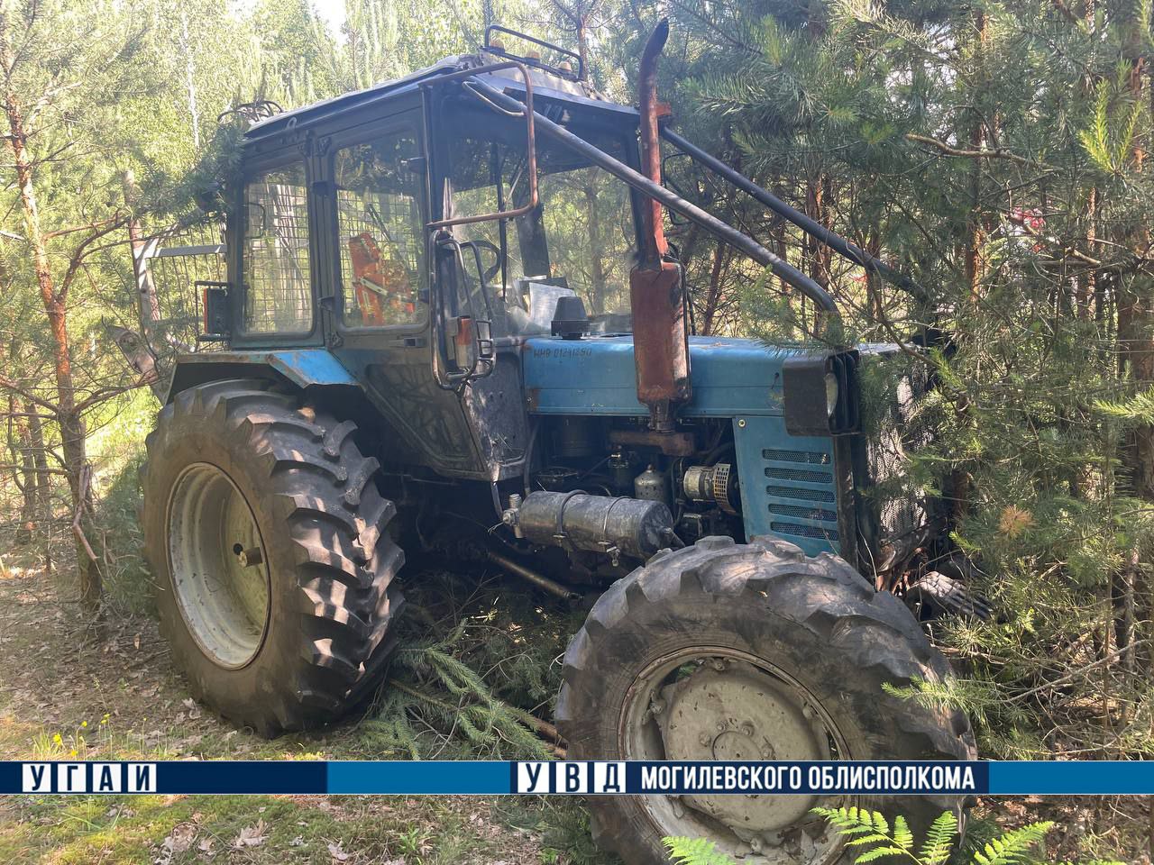 Маршрутка и трактор столкнулись в Бобруйском районе. Пострадали 9 человек
