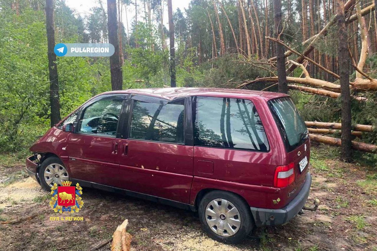 Женщина погибла из-за падения дерева в Зельвенском районе