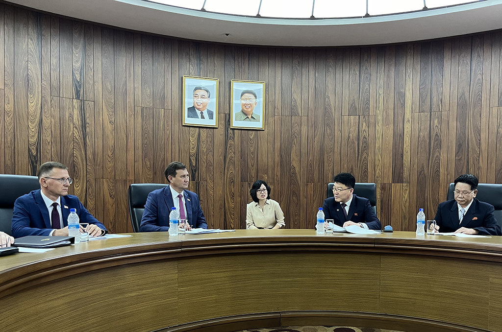 Рыженков обсудил региональную безопасность и санкции с главой МИД КНДР