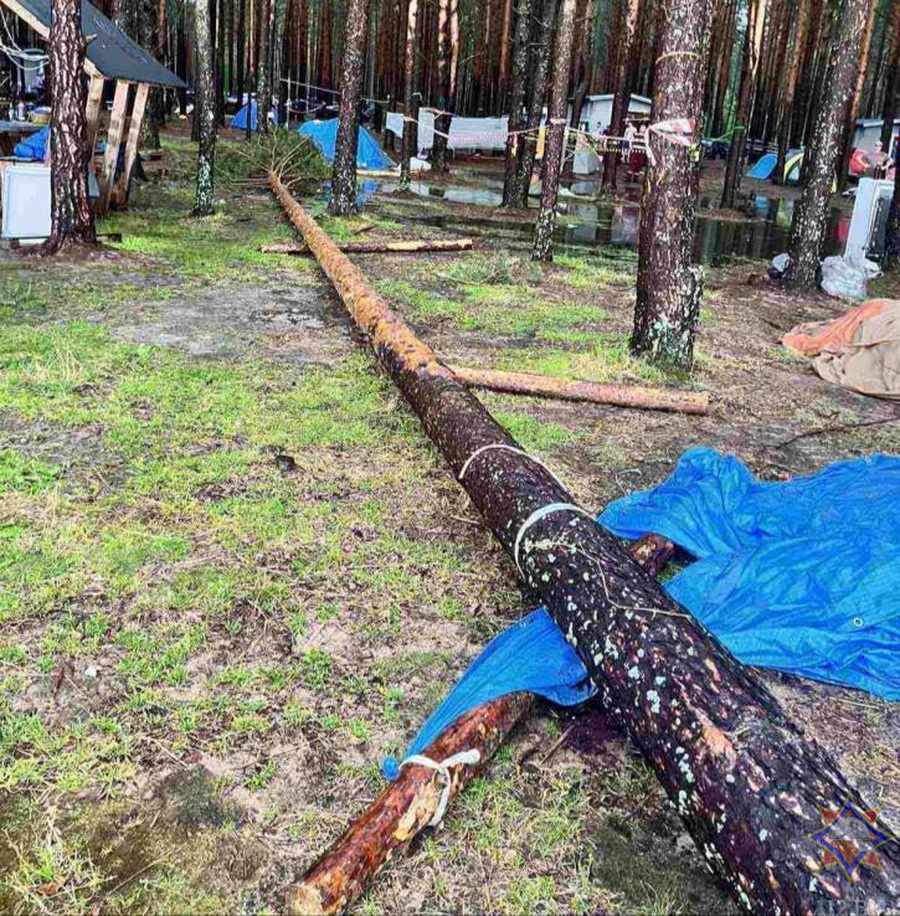 Два человека погибли в результате падения деревьев в Беларуси