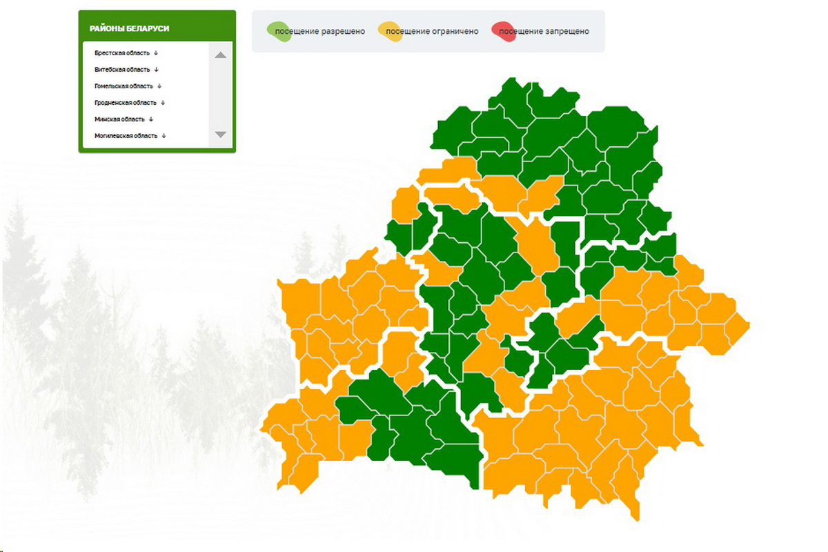 Количество территорий с ограниченным посещением лесов за сутки выросло в  три раза — REFORM.news (ранее REFORM.by)