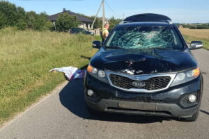 Велосипедист погиб под колесами автомобиля в Гродненской области