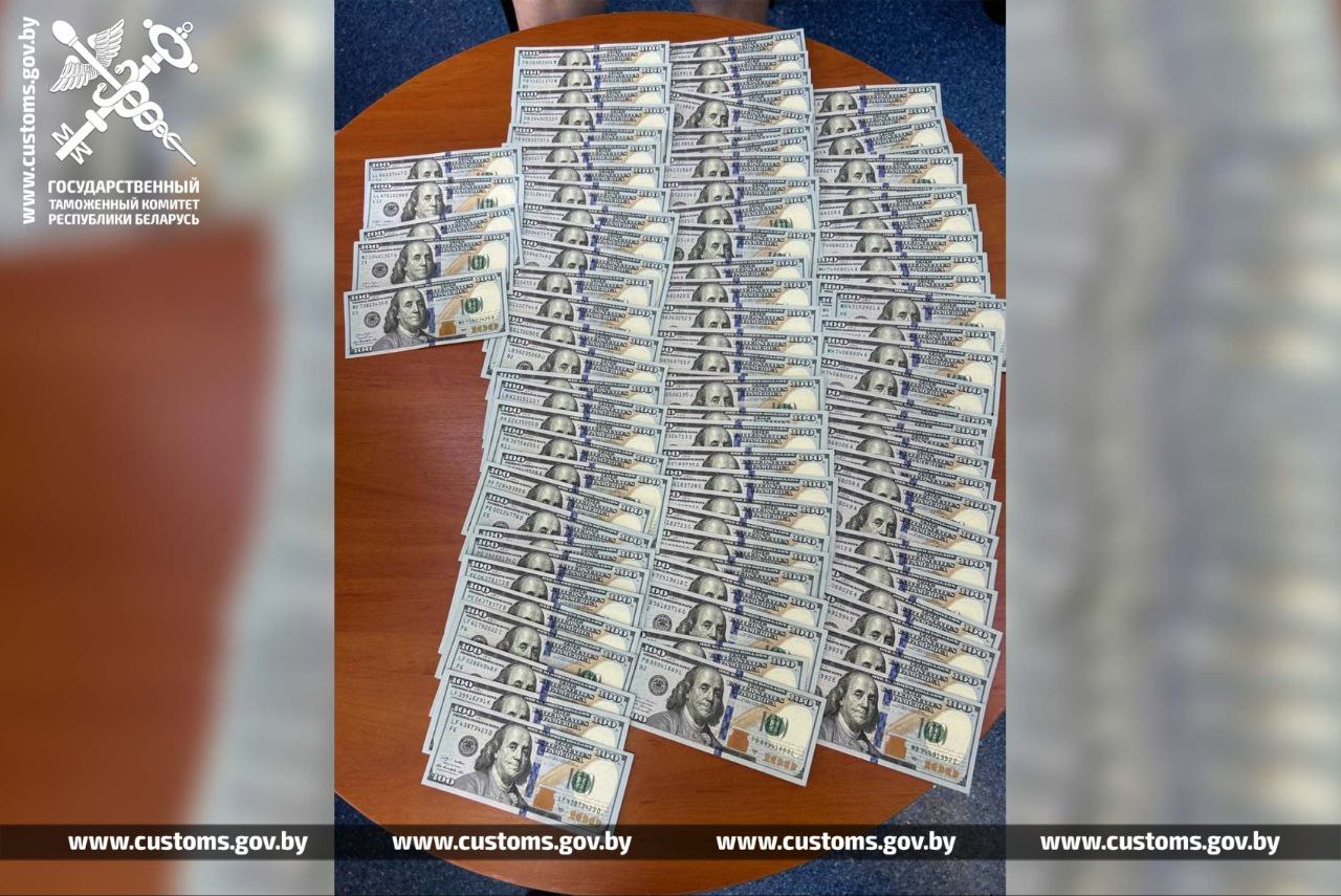Таможенники раскрыли уловку беларуса, хотевшего вывезти 54 тысячи долларов