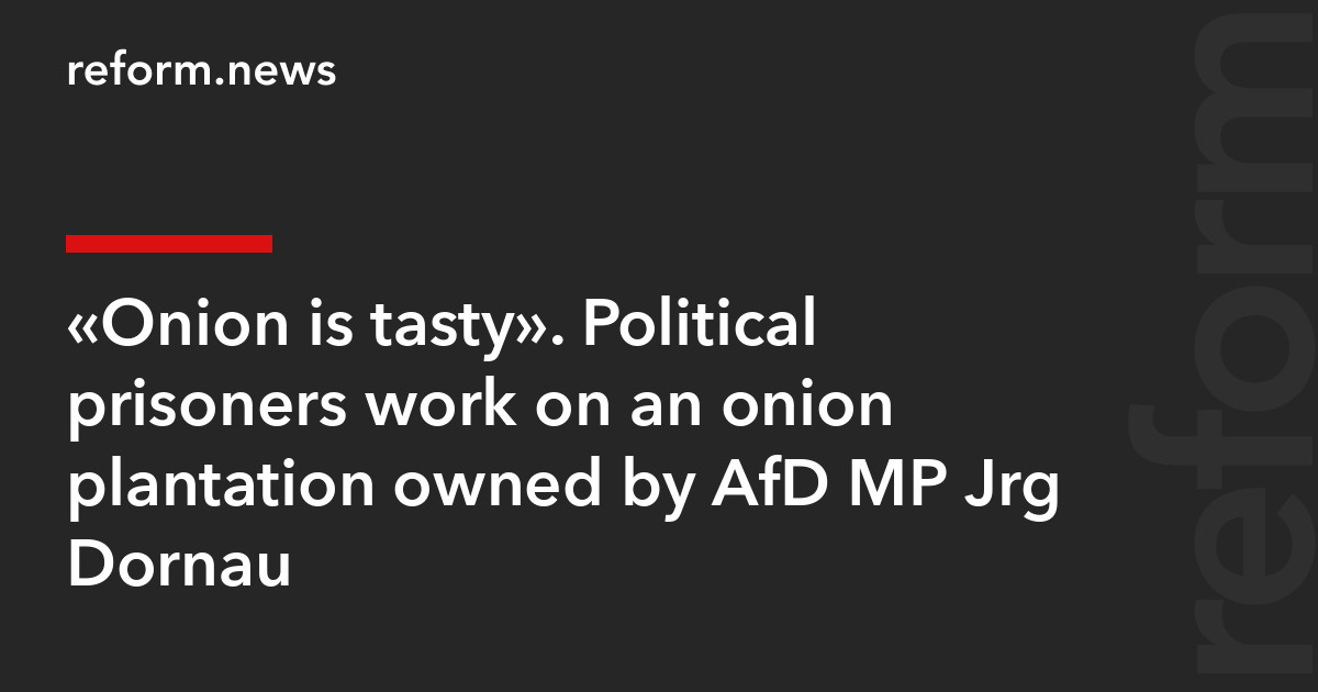 «Onion is tasty». Political prisoners work on an onion plantation owned by AfD MP Jörg Dornau