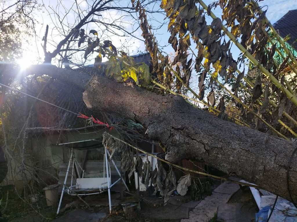 МЧС рассказало о последствиях непогоды в воскресенье