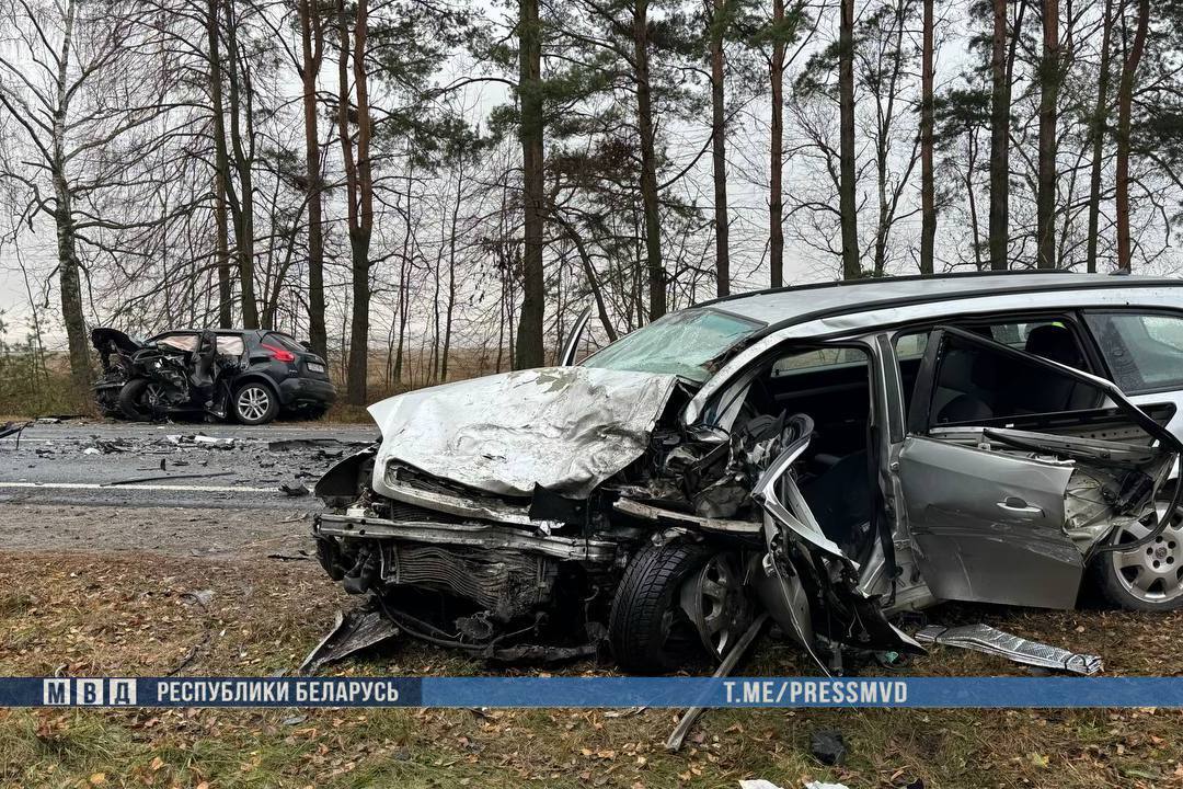 Два человека погибли в лобовом столкновении в Добрушском районе