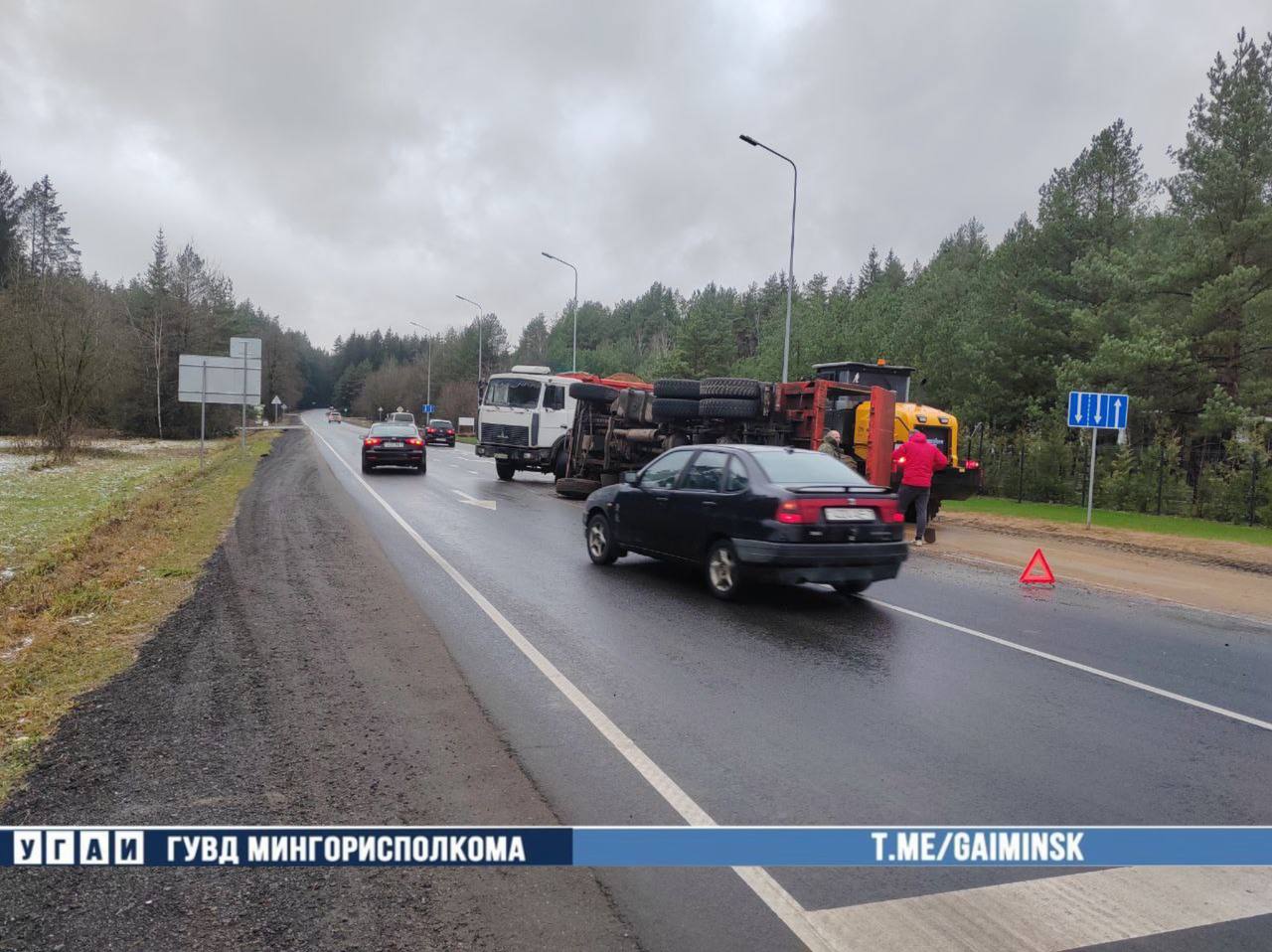 Косуля "опрокинула" МАЗ с песком на Заславском шоссе