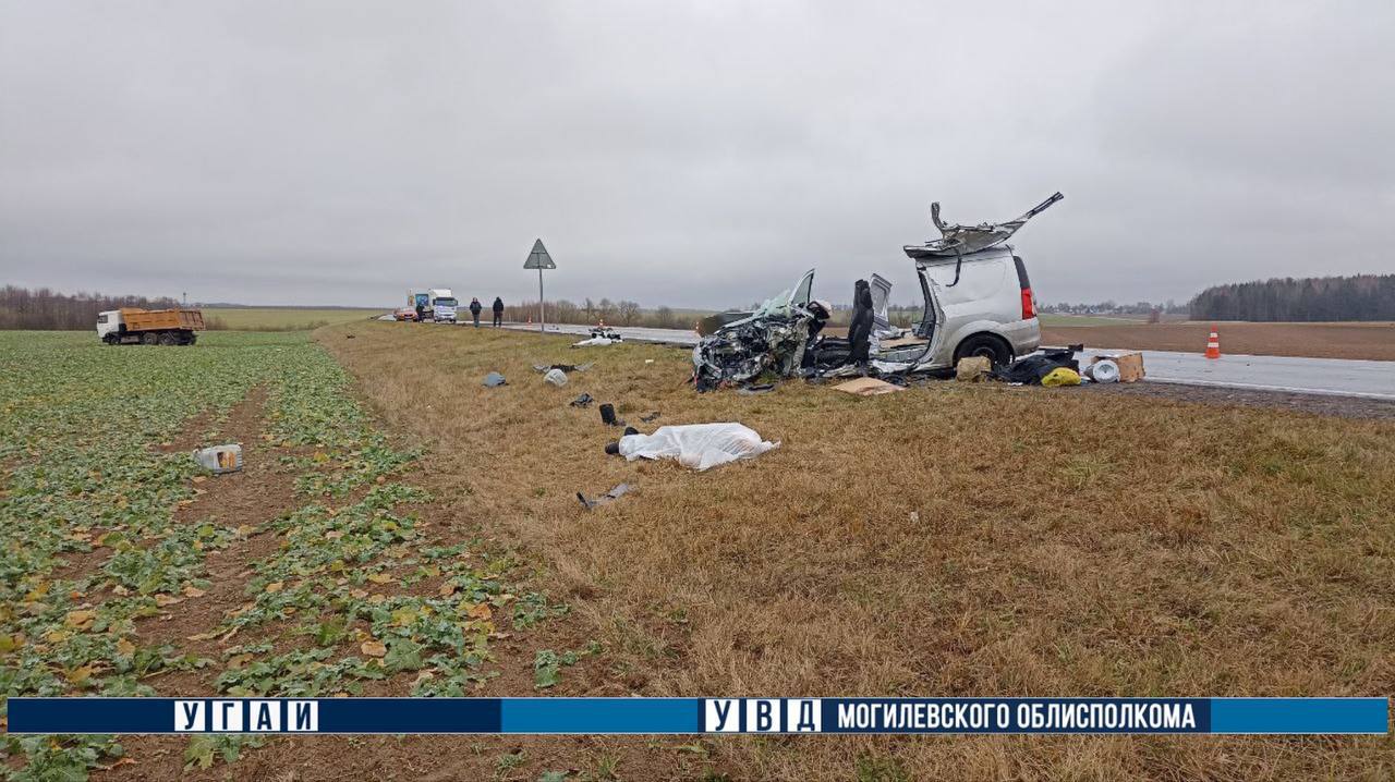 Грузовик на встречке снес "Ладу". Один человек погиб