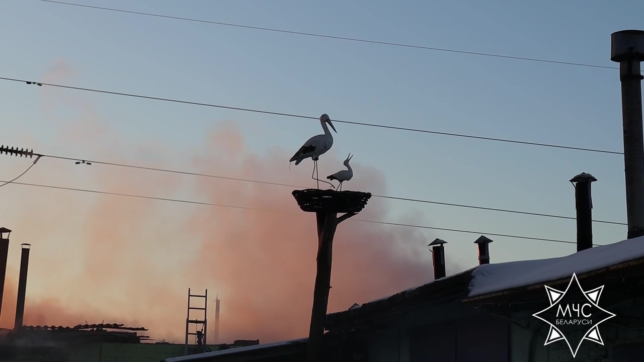 СТО сгорела в Солигорске