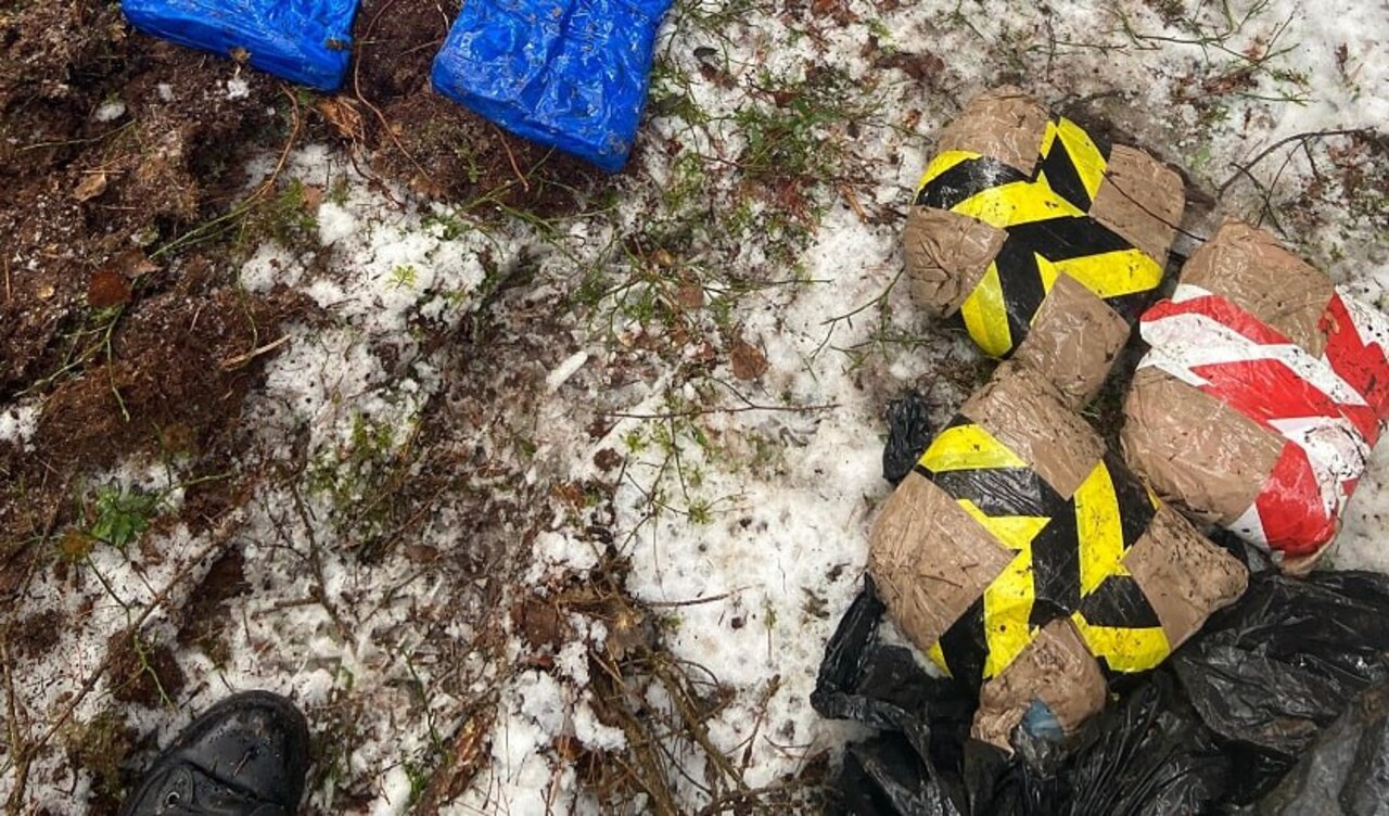 СК раскрыл сеть наркотрафика и изъял более 1,5 тонны наркотиков