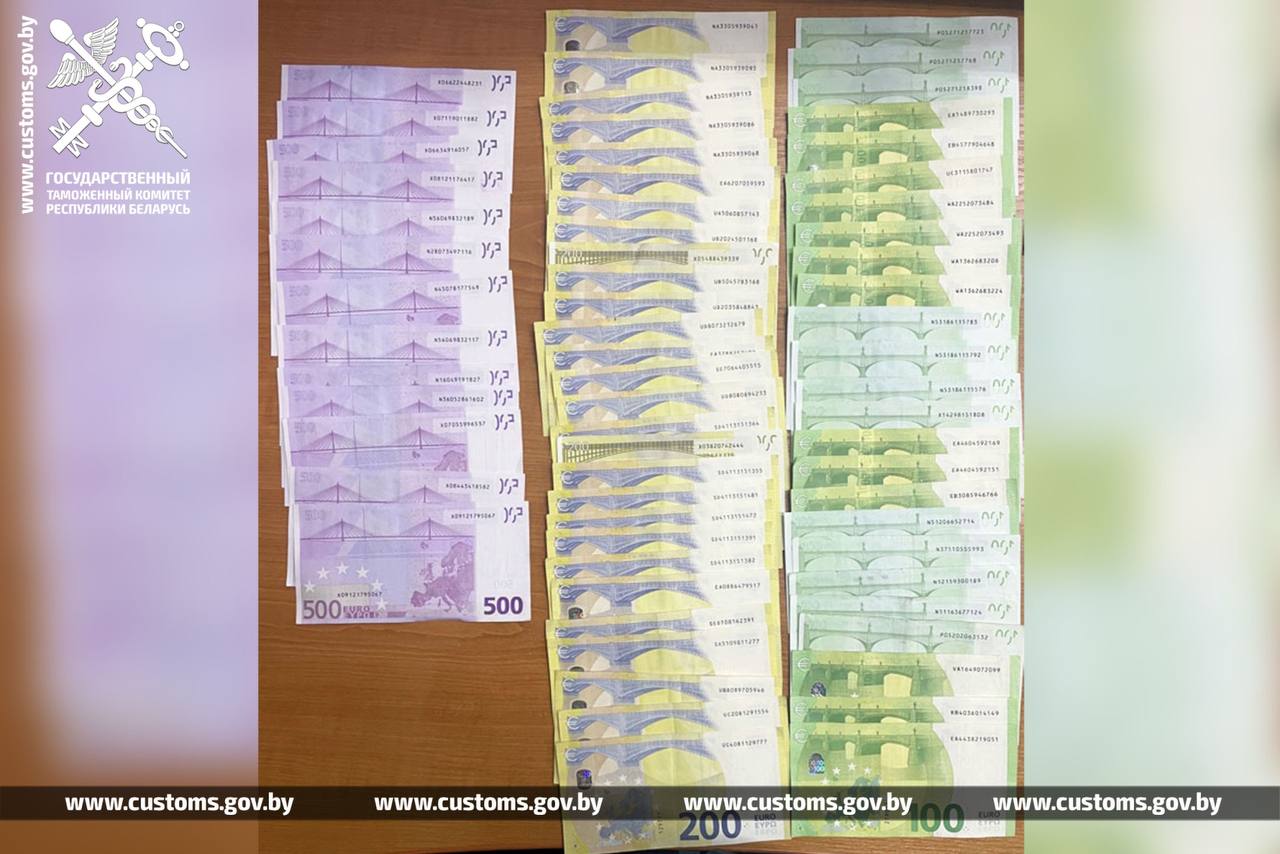 Молдованин пытался вывезти из Беларуси более 33 тысяч долларов без декларирования