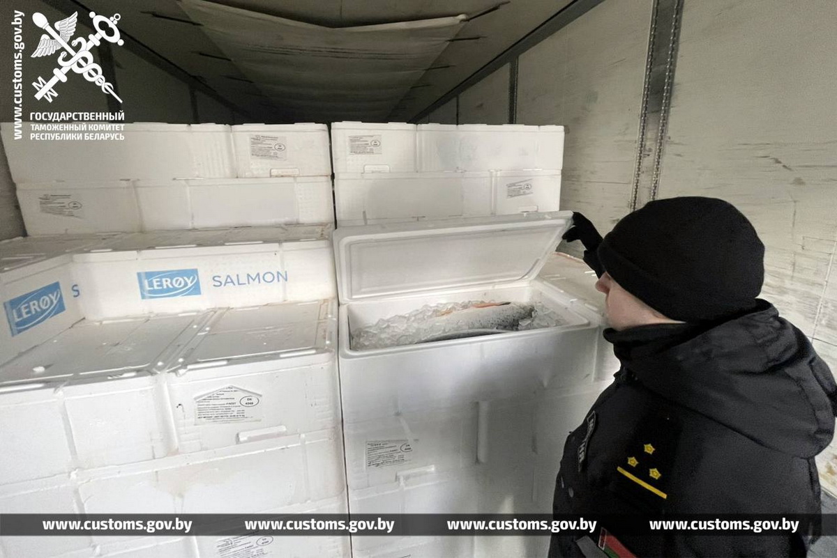 Около 14 тонн лосося пытались вывезти из Беларуси в РФ