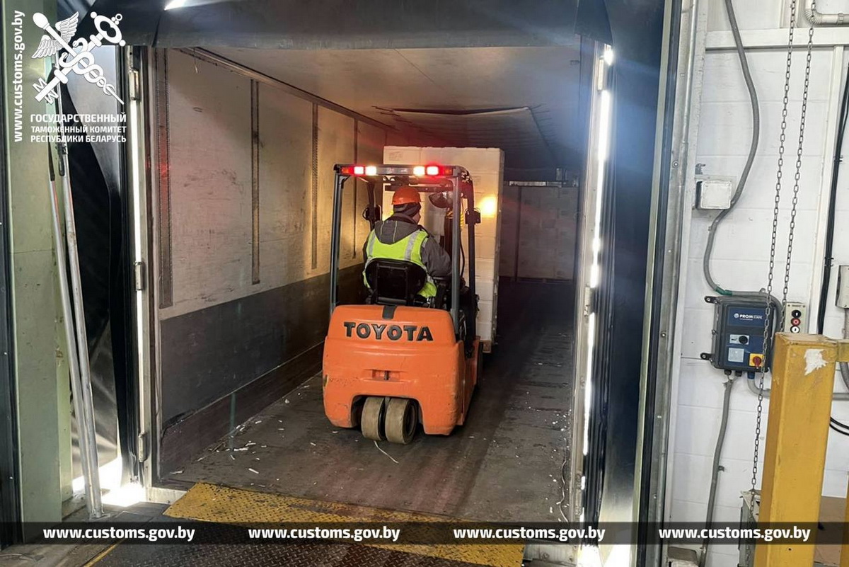 Около 14 тонн лосося пытались вывезти из Беларуси в РФ