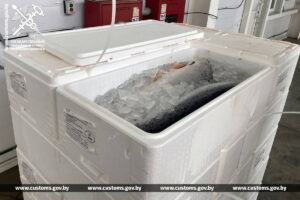 photo_2025-03-06_14-38-18