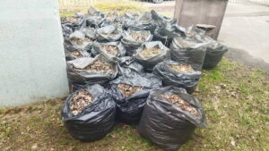 photo_2025-03-13_16-14-09