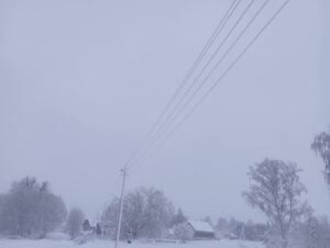 photo_2025-04-06_07-47-50