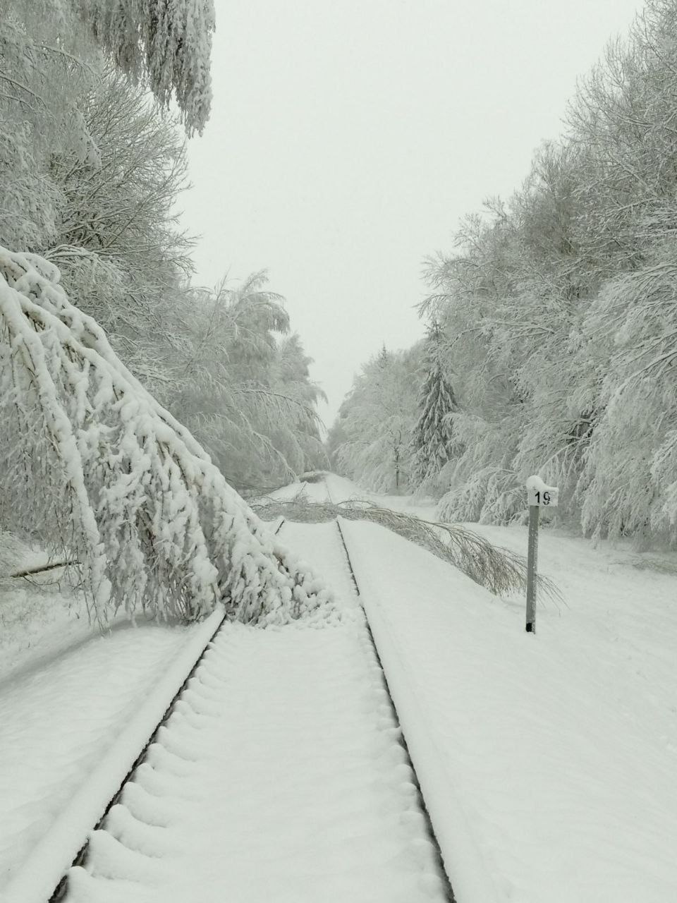 Поезда задерживаются на участке Осиповичи-Могилев из-за непогоды