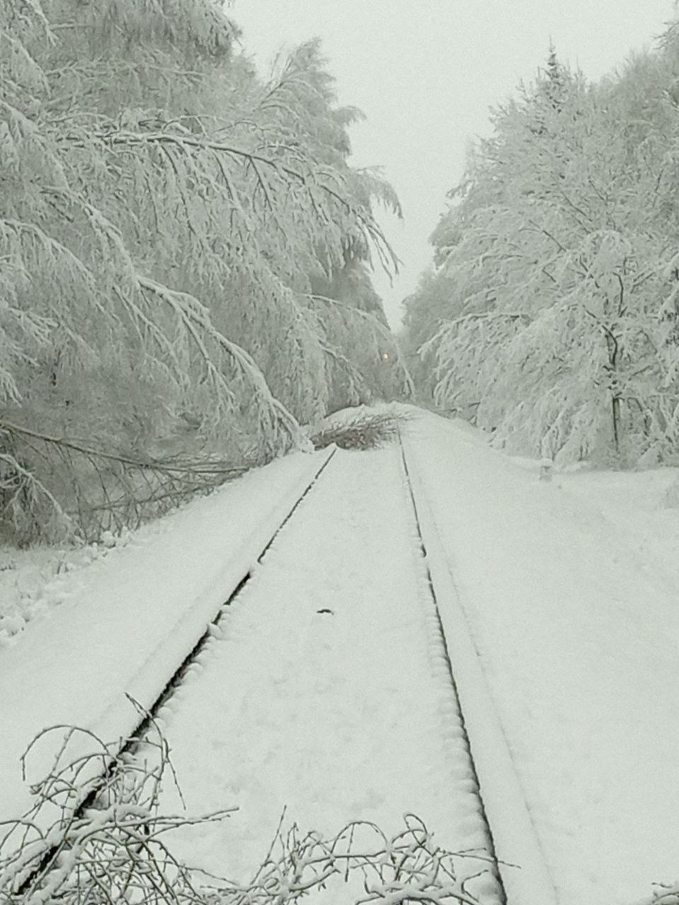 Поезда задерживаются на участке Осиповичи-Могилев из-за непогоды