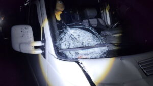 photo_2025-04-19_10-56-36 (3)