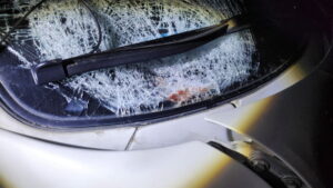 photo_2025-04-19_10-56-36