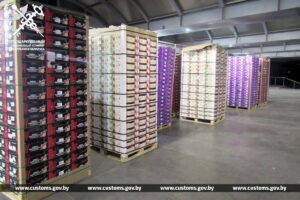 photo_2025-04-26_11-06-14