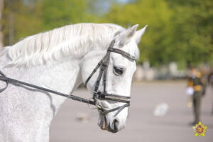 photo_2025-04-30_17-52-04