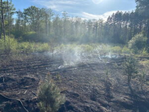 photo_2025-04-30_19-52-04