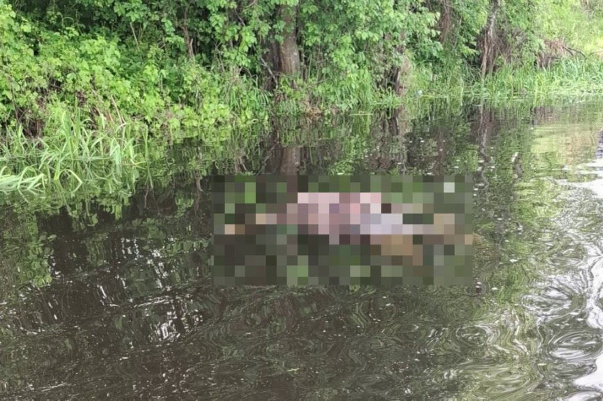 Женщина утонула в колодце в Поставах