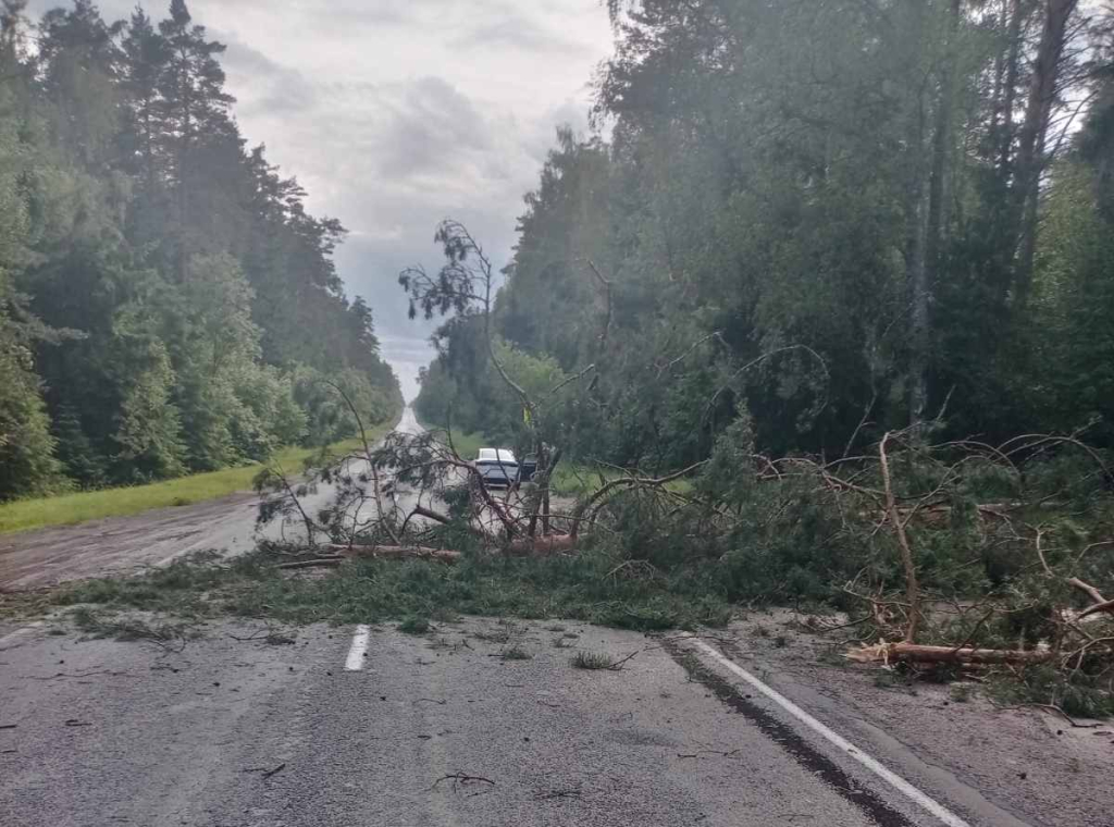 МЧС подвело итоги непогоды в Минской и Могилевской областях