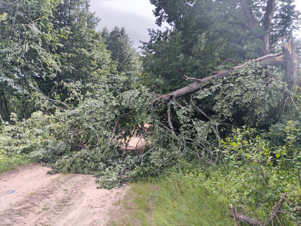 МЧС подвело итоги непогоды в Минской и Могилевской областях