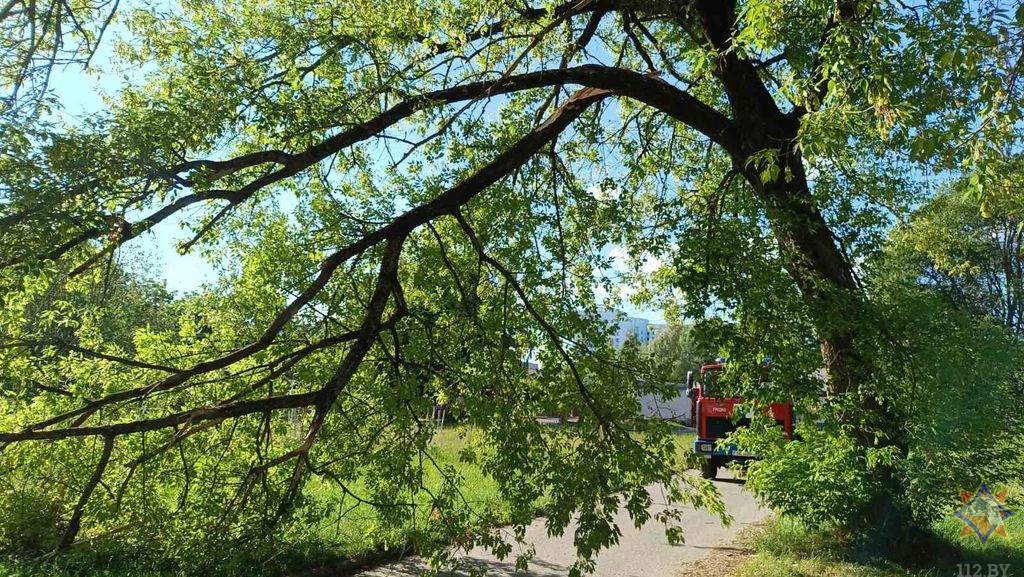 МЧС показало последствия непогоды