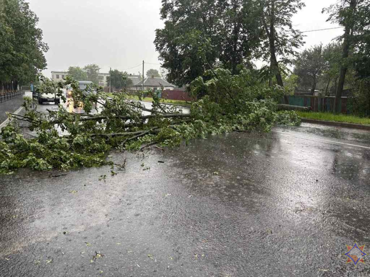20 упавших деревьев и три поврежденных здания – по Гомельщине прошел грозовой фронт