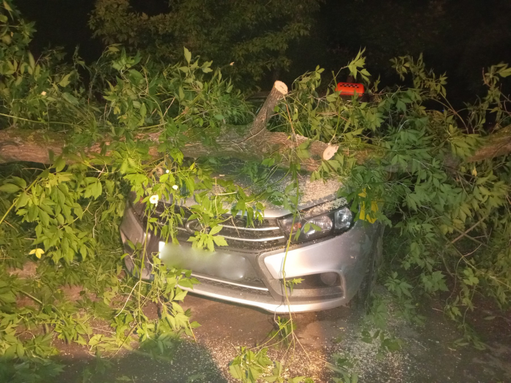 МЧС подвело итоги непогоды в Минской и Могилевской областях